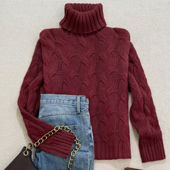 Burgundy Casual Women's Comfortable Twisted Rope print Textured highneck sweater - Picture 2 of 5